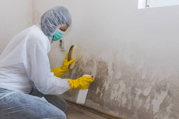 Best Crawl Space Mold Removal  in Oak Hill, FL