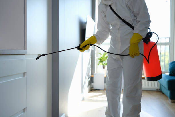 Best Best Mold Removal Companies  in Oak Hill, FL