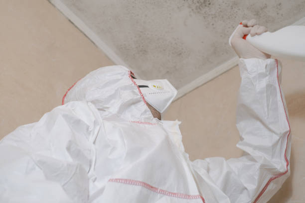 Best Affordable Mold Removal  in Oak Hill, FL
