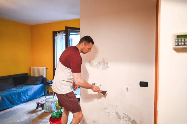 Best Emergency Mold Removal  in Oak Hill, FL