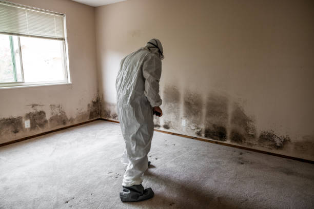 Best Mold Testing  in Oak Hill, FL